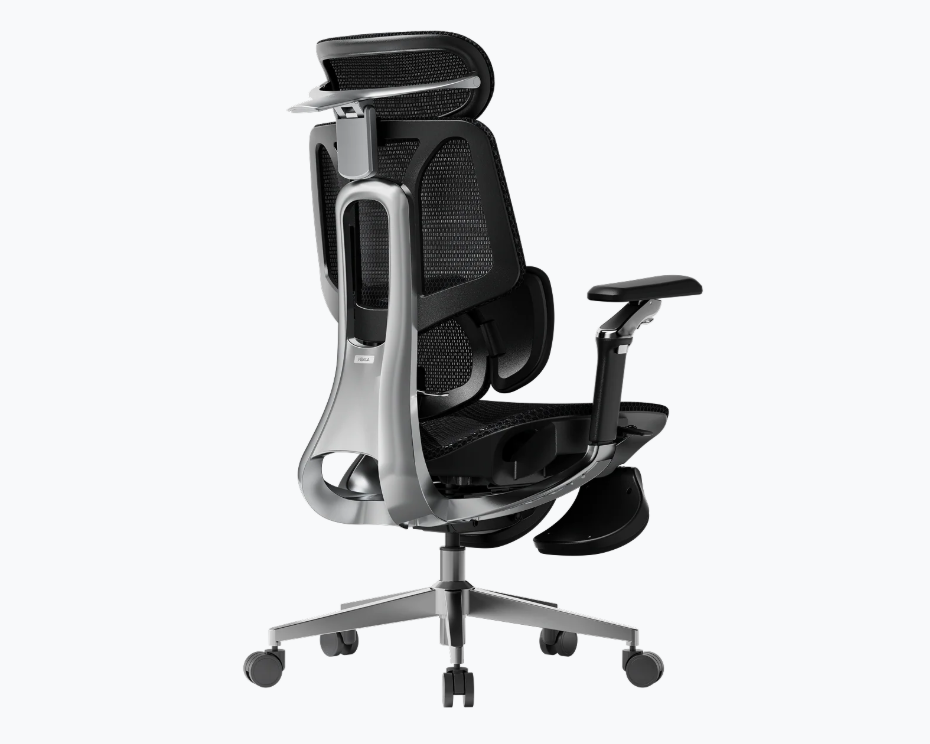 ERVO Pro Premium juoda, vaizdas 4