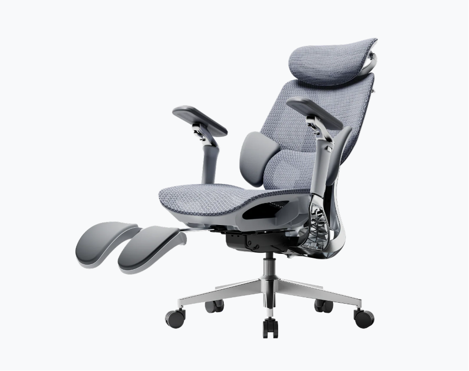 ERVO Pro Premium pilka, vaizdas 3