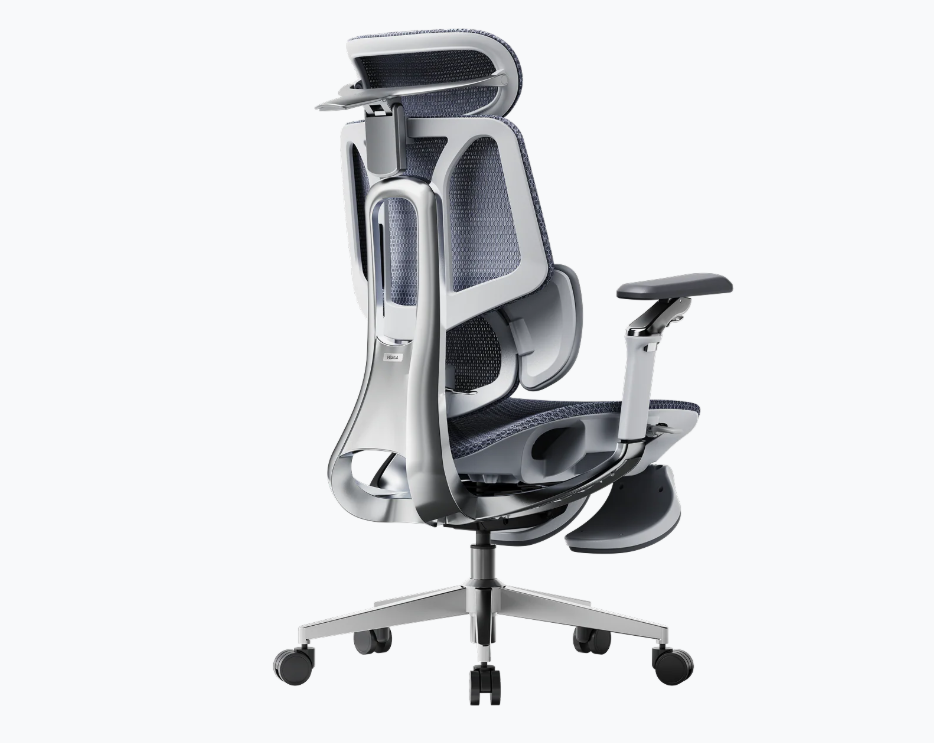 ERVO Pro Premium pilka, vaizdas 4